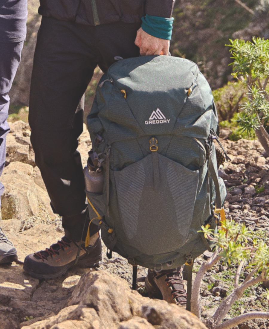 Gregory Backpack