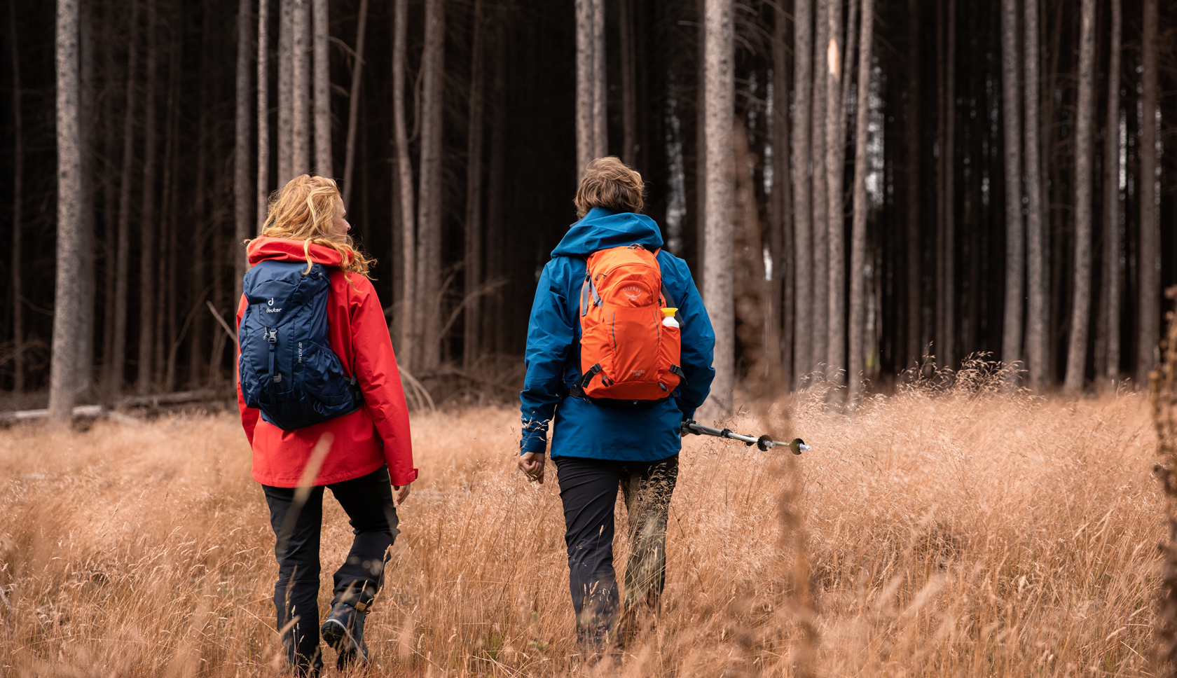 Man hiking with walking poles and backpack