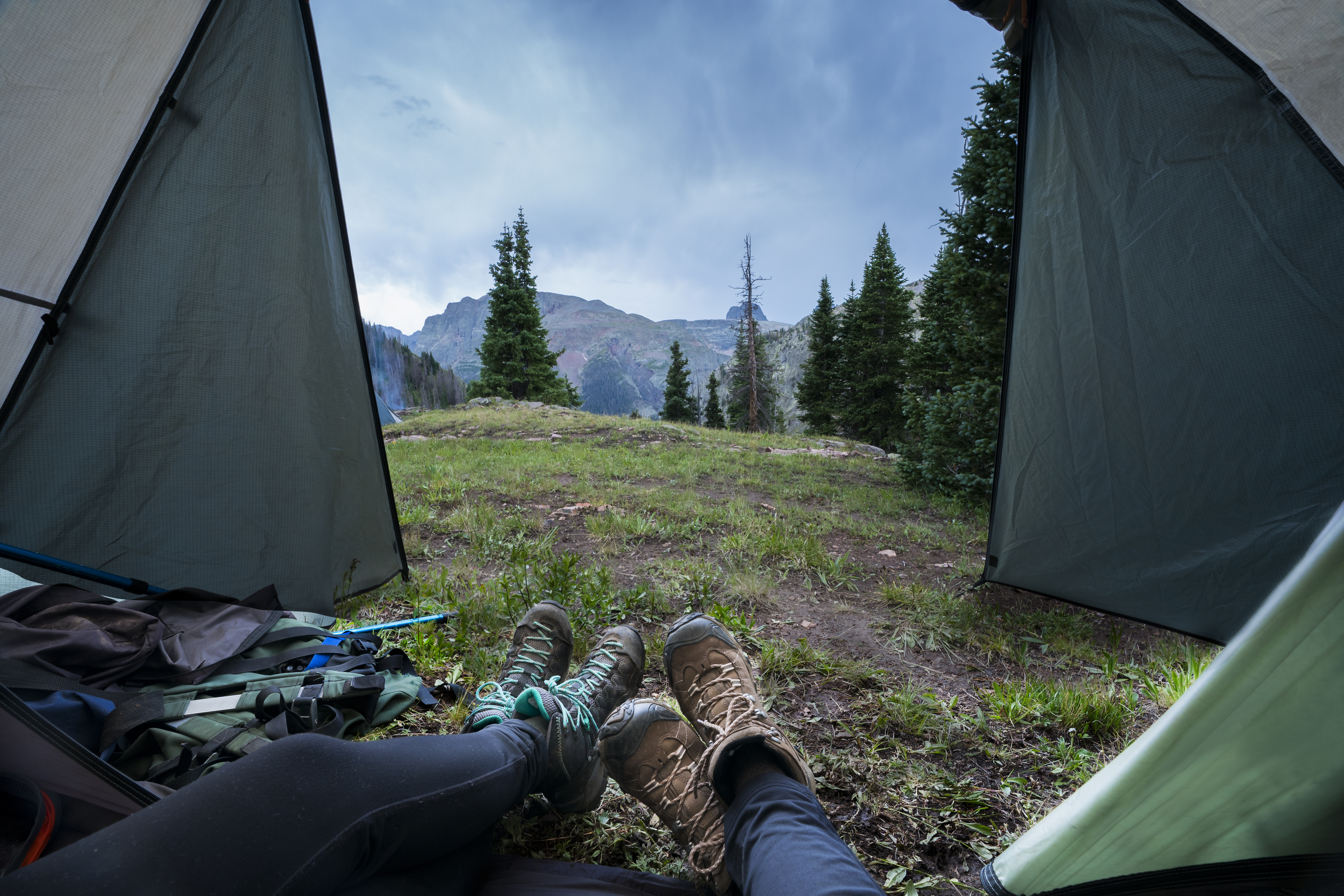 View from the inside of a tent