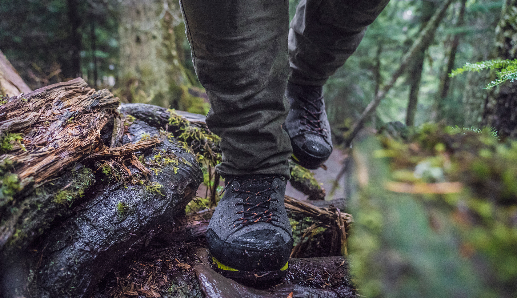 Two brown boots worn by someone perching atop a mossy branch