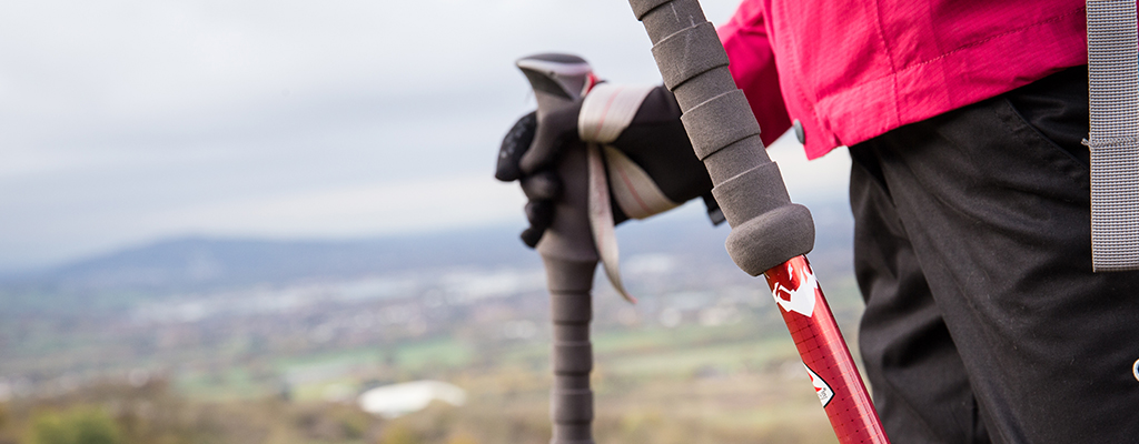 close up view of walking poles