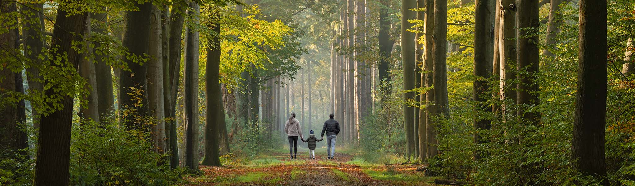 A couple with a child are walking in a park, holding hands.