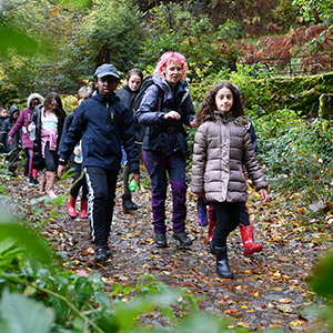 Group of hikers on a path