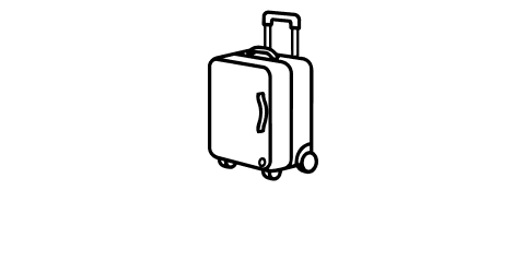 Travel Luggage
