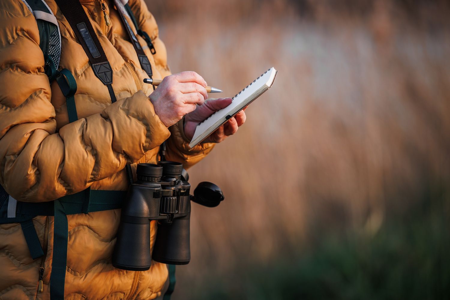 Birdwatcher taking notes, wearing binoculars