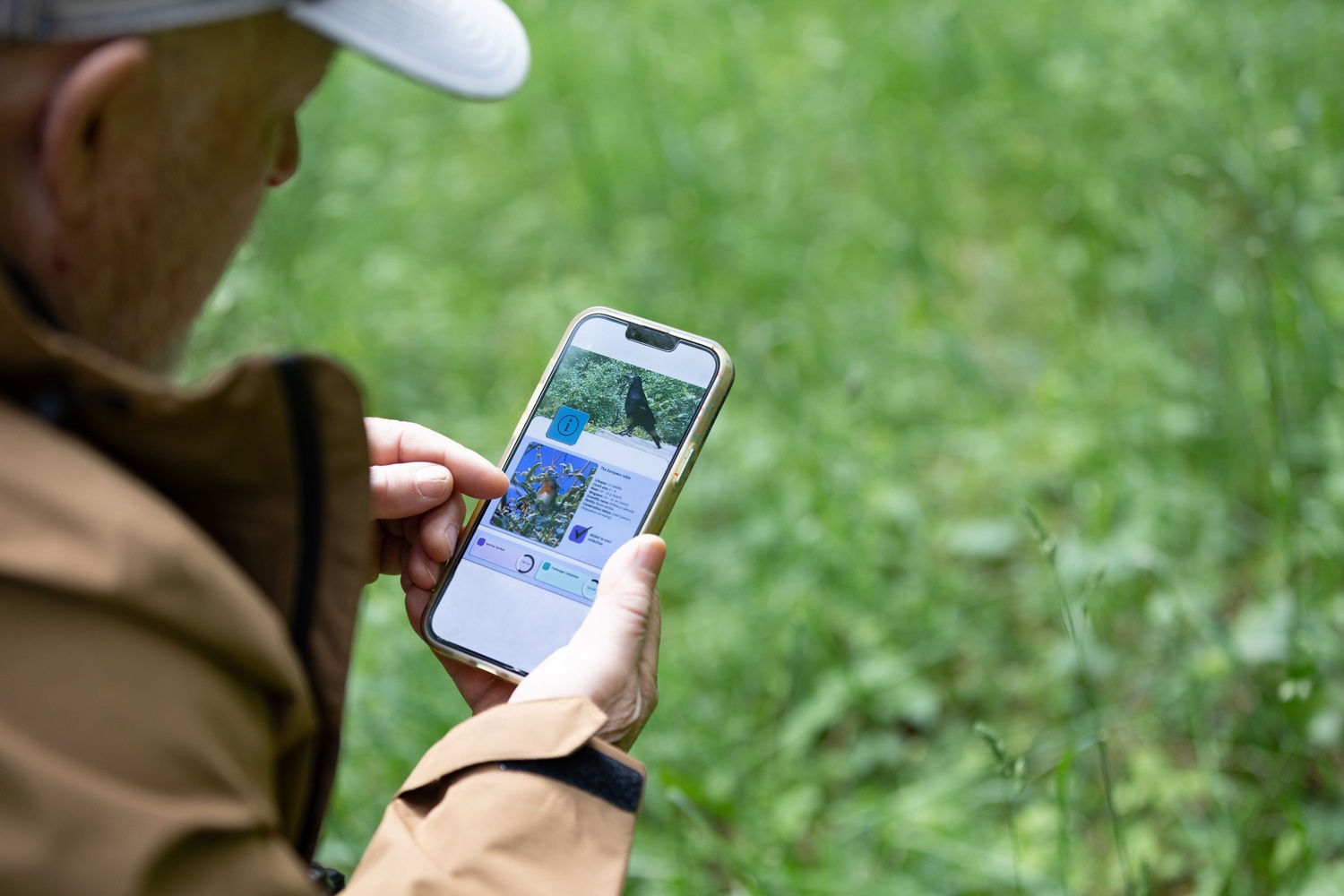 Birdwatcher using a bird identification app