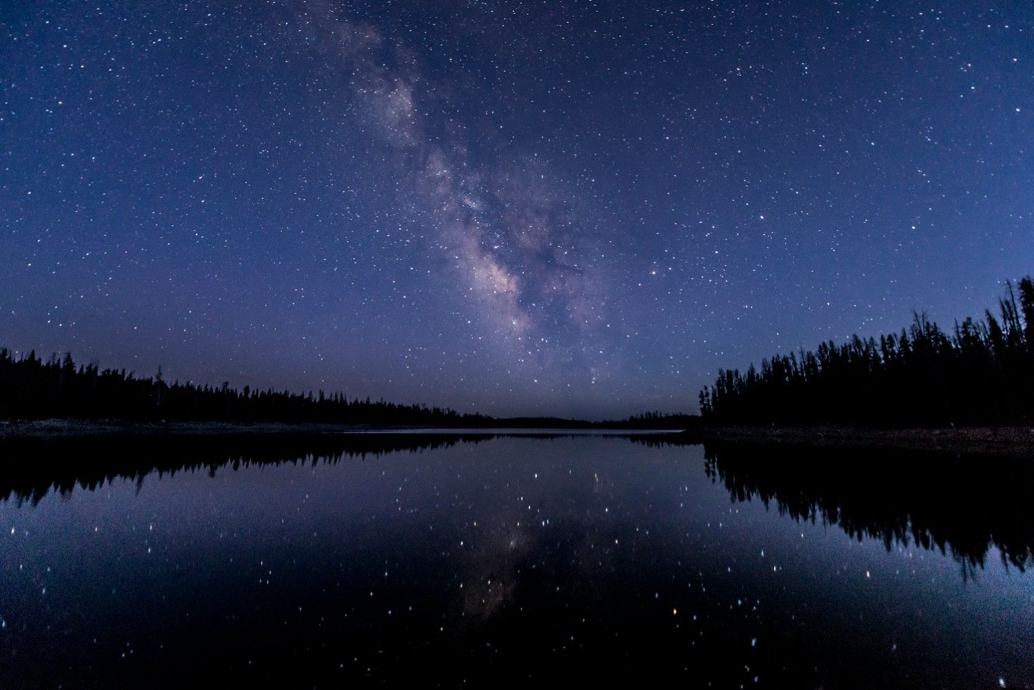 Stargazing